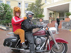 Harley Davidson Transfers.jpg