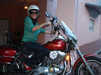 Harley Davidson Transfers.jpg