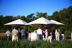 Winelands Lawn Games.jpg