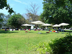 Winelands Lawn Games.jpg