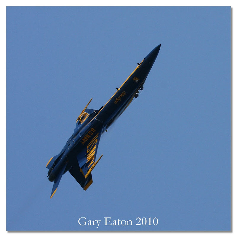 IMAGE: http://lh4.ggpht.com/_rSR7KcWAKvs/S83FVMiyZaI/AAAAAAAAE-E/mc_EqdDItvY/s800/IMG_0268.jpg