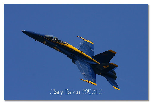 IMAGE: http://lh4.ggpht.com/_rSR7KcWAKvs/S8hzjlClxpI/AAAAAAAAE6A/1-kUNF8bzi0/IMG_9996.jpg