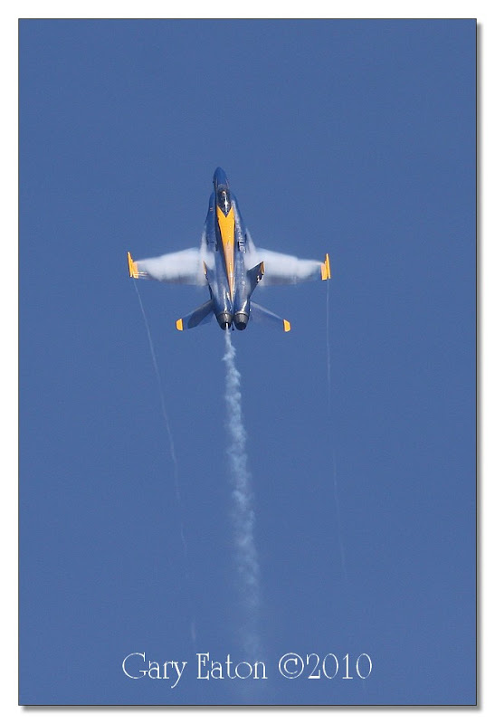 IMAGE: http://lh4.ggpht.com/_rSR7KcWAKvs/S8xFBGi_W4I/AAAAAAAAE7s/jloDL2MjnDY/s800/IMG_0285.jpg