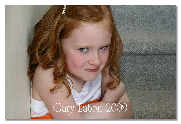 IMAGE: http://lh4.ggpht.com/_rSR7KcWAKvs/SceXduSK6HI/AAAAAAAAD9M/IUEUOkz1mNY/s720/IMG_6921.jpg