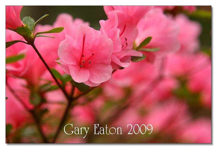 IMAGE: http://lh4.ggpht.com/_rSR7KcWAKvs/Sceah_DBCbI/AAAAAAAAD98/qaj3xyYHHJA/s720/IMG_6328.jpg