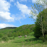 Loukov