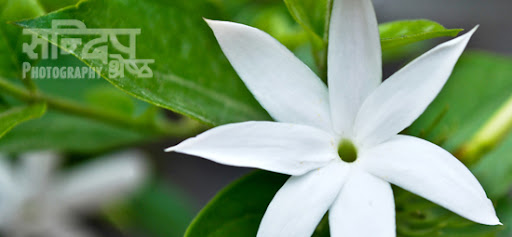 Sandeep's photography
