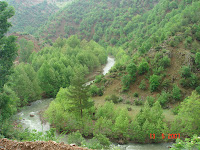12-13 mayıs feke 132.jpg