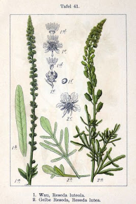 Khuzam Khuzam