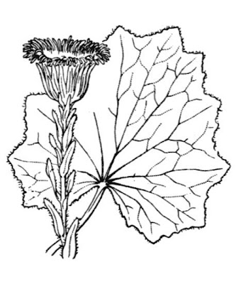 Farfugio