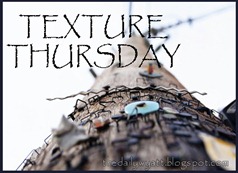 texture thursday