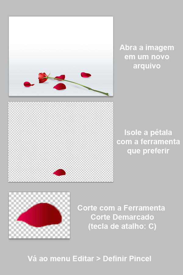 Usando uma pétala da imagem da rosa Usando uma pétala da imagem da rosa
