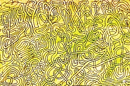 [Maze 1981 Close up[4].jpg]