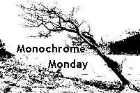 [Monochrome Monday[3].jpg]