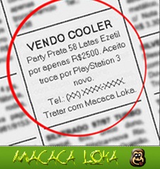 classificados macaca final copy