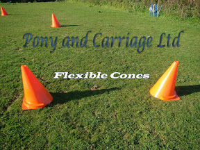 FEI Carriage driving HDT Cones Flexible&nbsp;Type