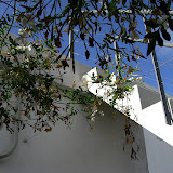 Montevideo