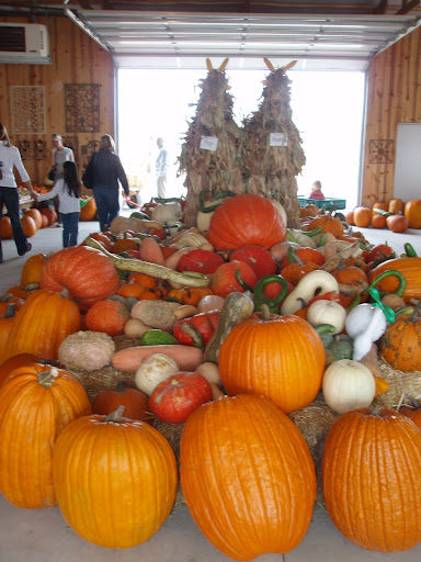 Butterfield Farms