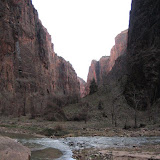 Looking  back from the “Temple of Sinawava”