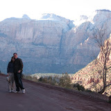 The landscape of Zion National Park in UT