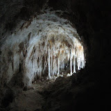 IMG_5701.JPG