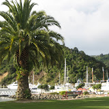 Picton harbor