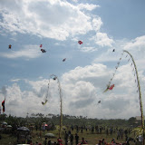 Several kites of the same category all flying together.