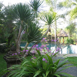 At Tropical Bali