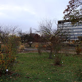 'DSC08023.JPG'