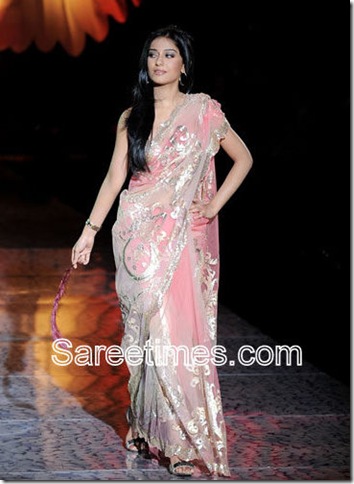 Amrita_rao_Pink_Designer_Saree