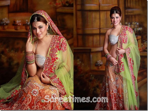 Nibir_Designer_Saree