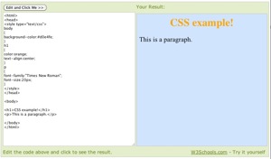 w3schools try it set up for CSS
