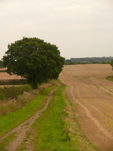 Roman road