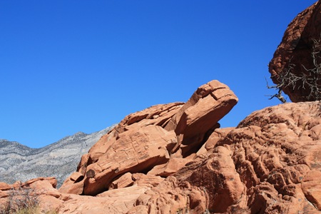 [IMG_52003.jpg]