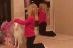 IMAG0103.jpg