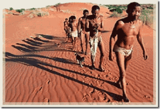 hoodia-san-people
