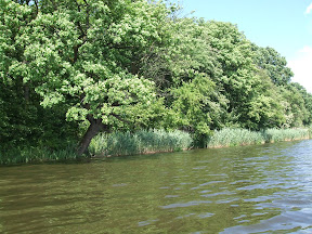 DSCF2832.JPG