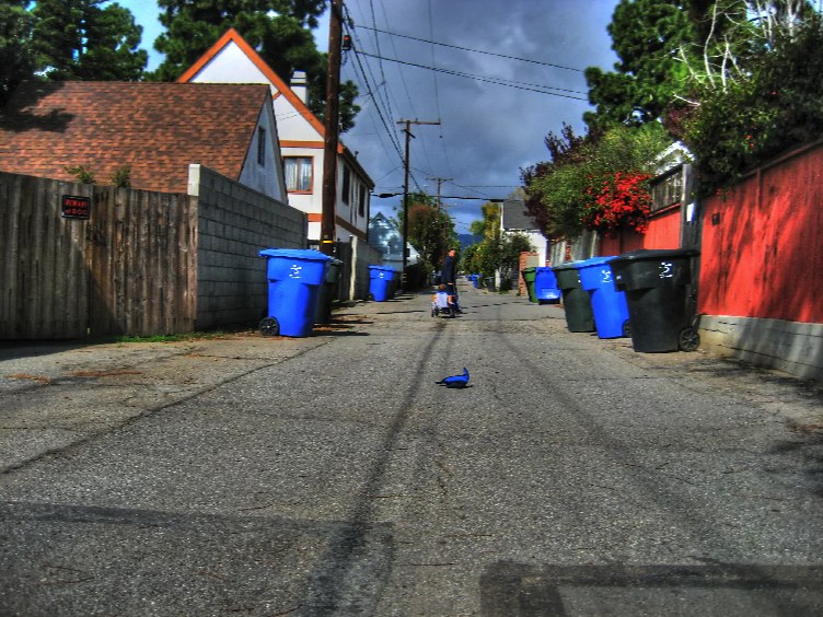 Alley.jpg