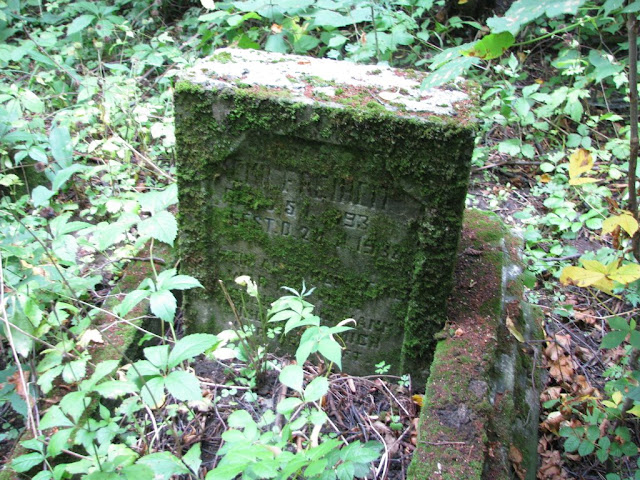 Liciszewy 2009