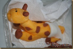 IMG_0013 IMG_0013