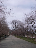 _0013829.JPG