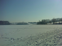 DSC03339.JPG Photo