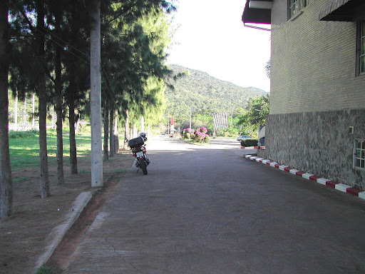 bua