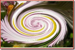 b b
