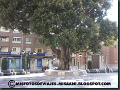 Plaza María Agustina