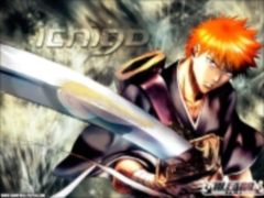 Bleach Manga