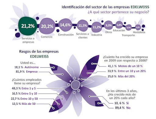 Sage - Empresas Edelweis - por sectores