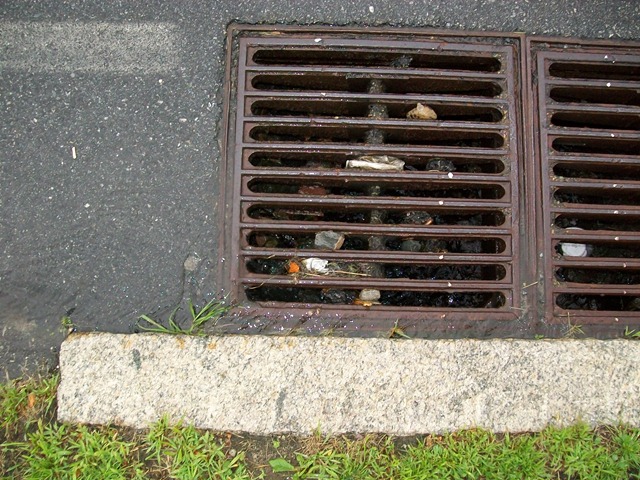 [201008011292.jpg]