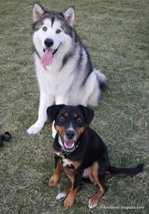Munson and Bob