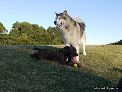 Munson and Taffy